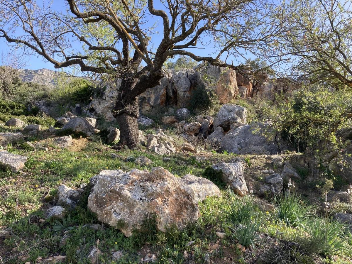 Casa Limonero Villa Casarabonela Buitenkant foto